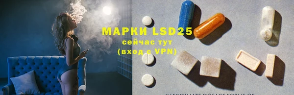 прущие грибы Абдулино