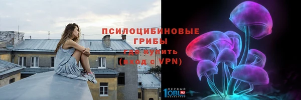 прущие грибы Абдулино