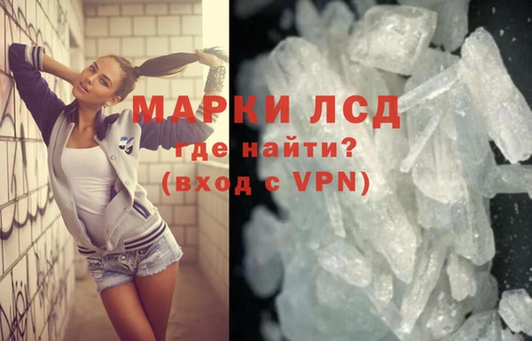 прущие грибы Абдулино