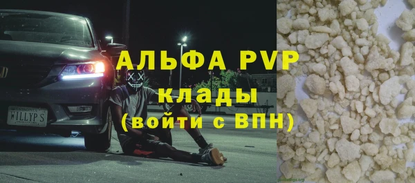 гидра Алексин