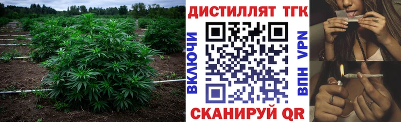 ТГК концентрат  купить наркотик  Хасавюрт 